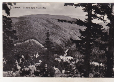 bnk cp Sinaia - Vedere spre Valea Rea - necirculata foto