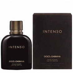 Dolce&amp;amp;Gabbana Intenso EDP 200 ml pentru barbati foto