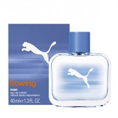 Puma Flowing Man EDT 25 ml pentru barbati foto