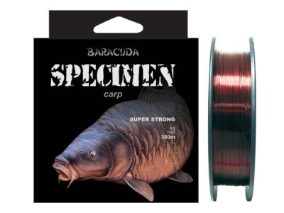 Nylon Baracuda Specimen crap 300m foto