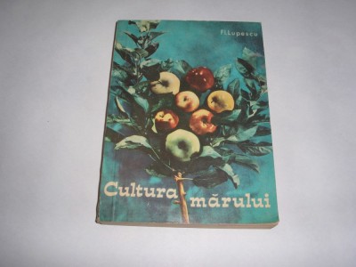 CULTURA MARULUI FLORIN LUPESCU,RF7/3 foto