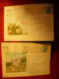 5 Intreguri Postale - FLORA , 1964- 1967