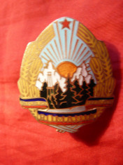 Emblema de Sapca - Stema -probabil pt Ofiter superior regim garda , bronz aurit si email , h= 5 cm foto