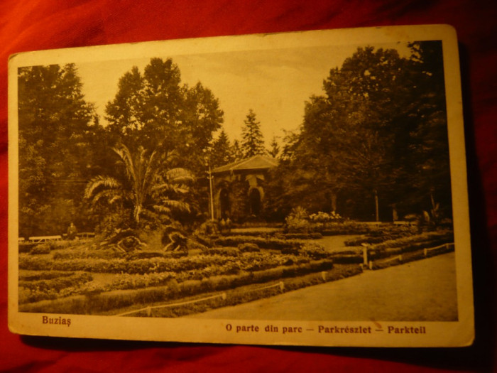 Ilustrata - Buzias - O parte din parc 1933 ,Ed. Klauberg Bazar Buzias