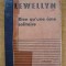 Richard Lewellyn - Rien qu&#039;une ame solitaire (in limba franceza)