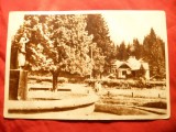 Ilustrata Borsec - Vedere din parc cu Statuia , circulat 1957, Circulata