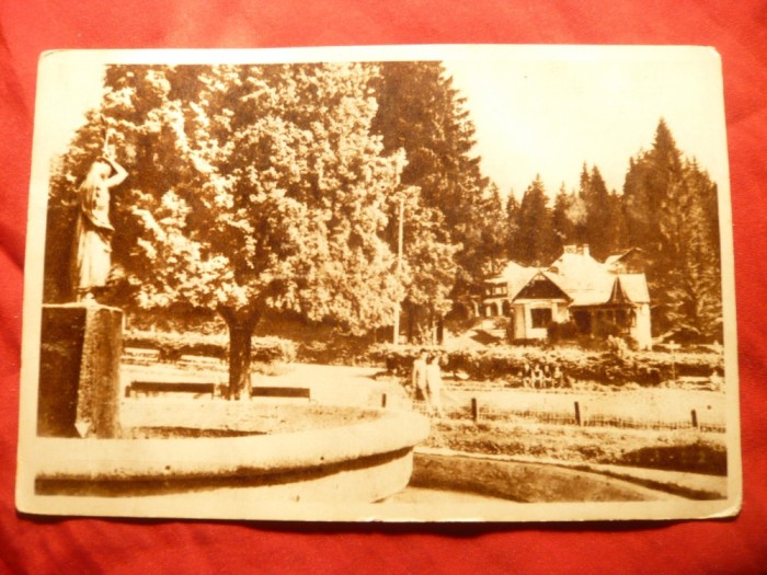 Ilustrata Borsec - Vedere din parc cu Statuia , circulat 1957
