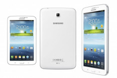 Samsung Galaxy Tab 7.0 Wi-Fi + 3G - pachet complet foto
