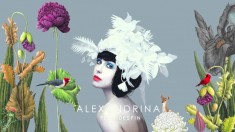 Alexandrina - Flori de Spin ( 1 CD ) foto