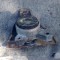 TAMPON MOTOR SUPORT MOTOR FORD FOCUS 1.8 TDCI TDDI DIESEL 1998-2004