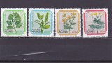 Flora locala ,Azore,