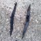 PRINDERE/ SUPORT LATERAL BARA FATA FORD FOCUS 1998-2004