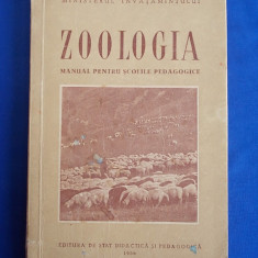 ZOOLOGIA * MANUAL PENTRU SCOLILE PEDAGOGICE ( CONTINE PLANSE COLOR ) - 1956 *