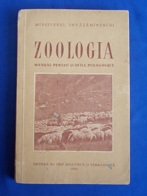 ZOOLOGIA * MANUAL PENTRU SCOLILE PEDAGOGICE ( CONTINE PLANSE COLOR ) - 1956 * foto