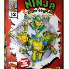 Testoasele Ninja Sezonul 5 Dublat In Romana