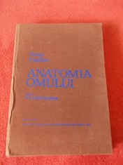 ANATOMIA OMULUI - VICTOR PAPILIAN , VOL 2 SPLANHNOLGIA , STARE FOARTE BUNA . foto