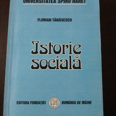 ISTORIE SOCIALA -- Florian Tanasescu -- 2005, 295 p.