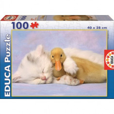 Puzzle Best Friend 100 Piese foto