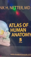 Atlas de Anatomie Netter Ed.5 Engleza Livrare Gratuita foto