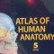 Atlas de Anatomie Netter Ed.5 Engleza Livrare Gratuita