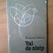 b2 Val de nisip - Traian Cristea