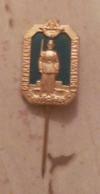 SUEDIA - INSIGNA MILITARA-WW2- 1943. foto