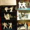 Set 22 Fotografii - Sportivi romani Karate Modern la antrenament si Balcaniada
