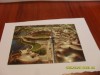 Foto Olympiapark Munchen JO 1972, Vedere Panoramica - Editie Aniversara Jocurile Olimpice