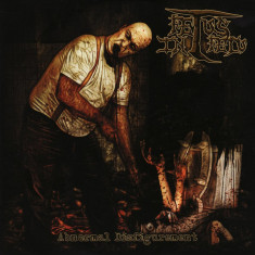 FETUS IN FETU (Denmark) ?? Abnormal Disfigurement CD (Brutal Death Metal) 2011 foto