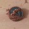 SUEDIA - INSIGNA TIR- CL.3.
