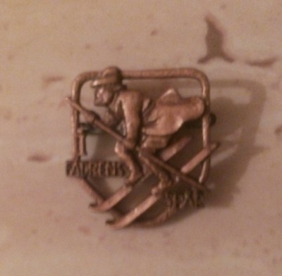 SUEDIA - INSIGNA TIR- CL.3. foto