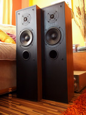 Acoustic Solutions DS 1000 MK II foto