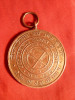 Medalie- 125 Ani - Cercetare Geologica India 1976 , bronz , d= 4 cm