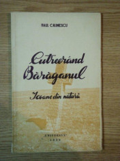 CUTREERAND BARAGANUL, ICOANE DIN NATURA de RAUL CALINESCU 1939 foto