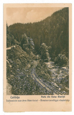 1617 - COLIBITA, Bistrita Nasaud, railway - old postcard - used - 1928 foto