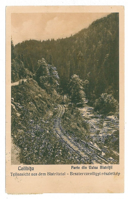1617 - COLIBITA, Bistrita Nasaud, railway - old postcard - used - 1928