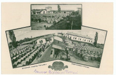 1782 - Vrancea, FOCSANI, exportul vinului - old postcard - used - 1917 foto