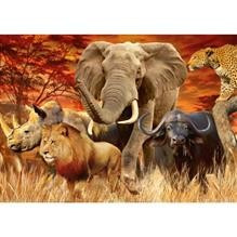 Puzzle Cele Cinci Mari Animale 1000 Piese foto