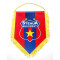 Fanion Steaua