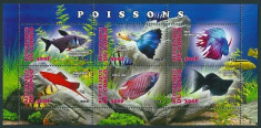 CONGO 2013 - PESTI DE ACVARIU - BLOC MNH (SERIE COMPLETA) - EMISIUNE PRIVATA foto