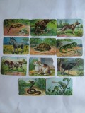 LOT 11 CARTONASE SCOLARE CU ANIMALE 8 X 12 CM DIN ANII 30