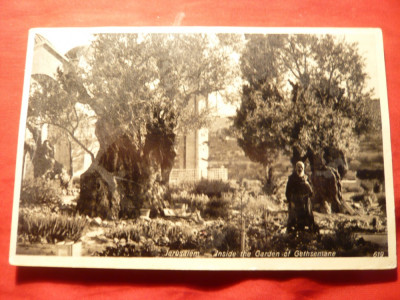 Ilustrata - Palestina- Ierusalim - Gradina Ghethsemani , circulat , anii &amp;#039;30 foto