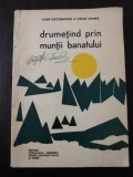 DRUMETIND PRIN MUNTII BANATULUI - Lazar Botosaneanu, Stefan Negrea -1968, 236 p., Alta editura