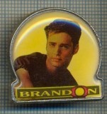 2062 INSIGNA - BRANDON - ACTOR DIN SERIALUL BEVERLY HILLS -starea care se vede