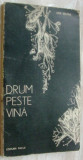 ANA SELENA - DRUM PESTE VINA (VERSURI, volum de debut - 1977) [dedicatie / autograf pt. CONSTANTIN BARBUCEANU]