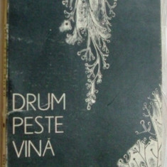 ANA SELENA - DRUM PESTE VINA (VERSURI, volum de debut - 1977) [dedicatie / autograf pt. CONSTANTIN BARBUCEANU]