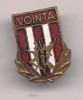 Insigna- CLUBUL SPORTIV VOINTA
