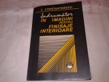 V.CONSTANTINESCU - INDRUMATOR IN IMAGINI PENTRU FINISAJE INTERIOARE