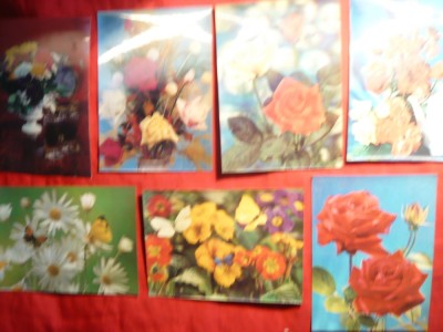 8 Ilustrate in relief - Tematica -FLORI foto