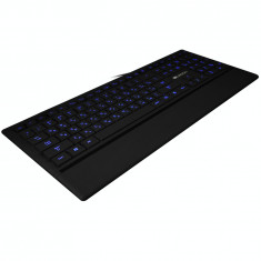 Tastatura Canyon CNS-HKB6US Slim Multimedia, iluminata, USB foto